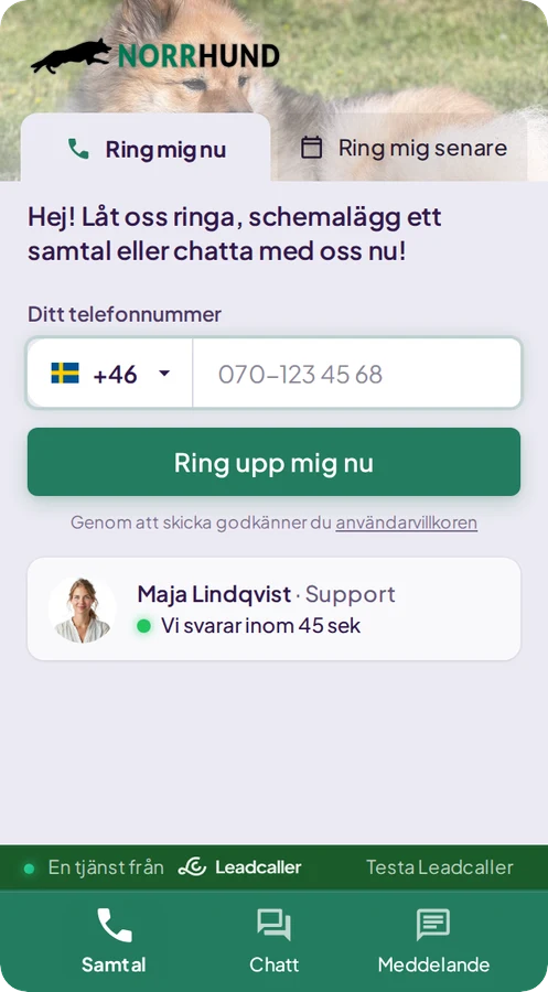 Samma vy i en kunds färger med skogsgrön knapp.